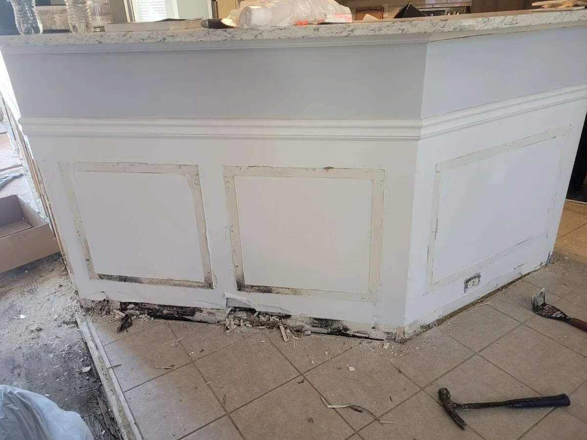 Water damage and mold on kitchen during Mold Inspection & Testing in Tamiami